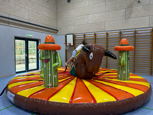 Reiter auf einem aufblasbaren Bullen zwischen zwei Kaktussen in einer Sporthalle.